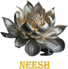 neesh vastu pune Logo